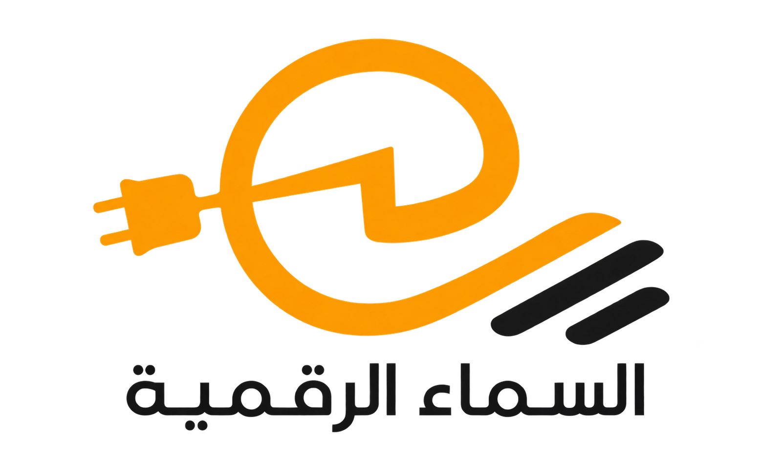 شعار Digital Sky Electric